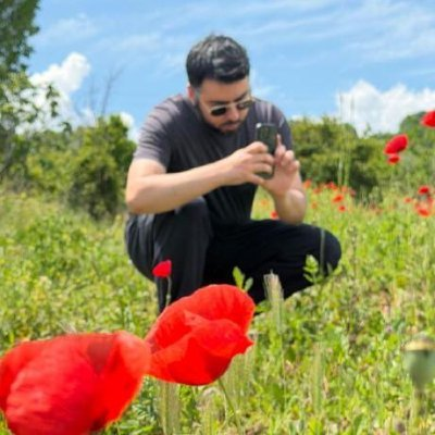 Emrecan Doğramacı photographing red poppies outdoors